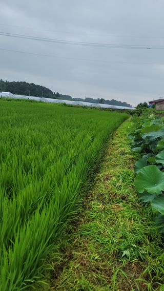 새렘님의 자유주제 · 건의해요 작성글 사진