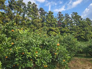 농사와산지기님의 농업 경영체 등록 기준, 강화 vs 완화 · 참여글 작성글 사진