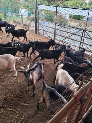 김석현님의 자유주제 · 자유게시판 작성글 사진