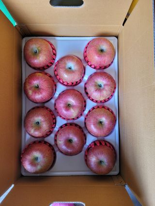 사과청일농원🍎님의 작성글 사진