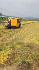 팜모닝 자유주제·건의해요 게시글 이미지