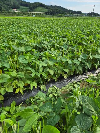 이장우님의 2025년, 농사계획은 어떻게 되시나요? · 참여글 작성글 사진