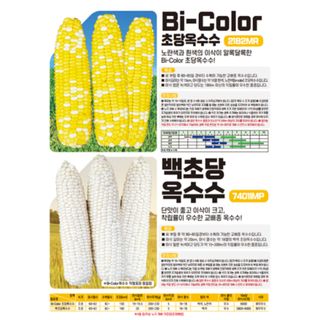 아시아종묘님의 자유주제 · 자유게시판 작성글 사진