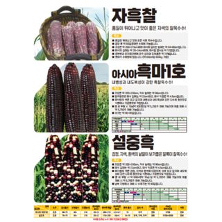 아시아종묘님의 자유주제 · 자유게시판 작성글 사진