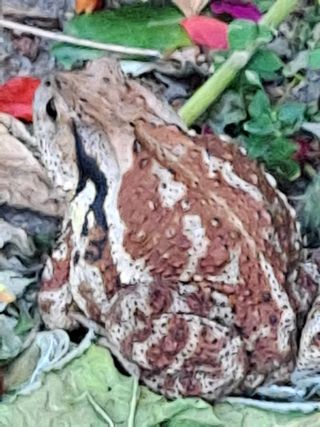 동남아님의 농업 경영체 등록 기준, 강화 vs 완화 · 참여글 작성글 사진