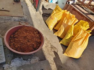 이현상님의 자유주제 · 자유게시판 작성글 사진