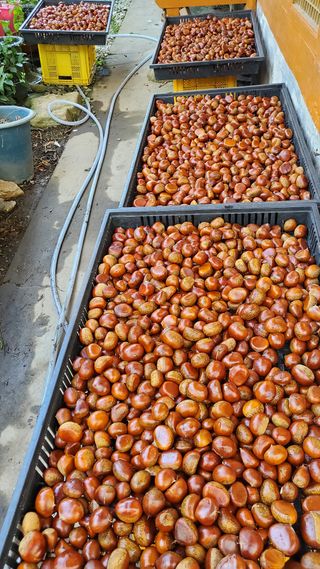 권혜전님의 작성글 사진