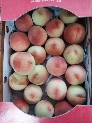 철남 김희곤님의 2025년, 농사계획은 어떻게 되시나요? · 참여글 작성글 사진