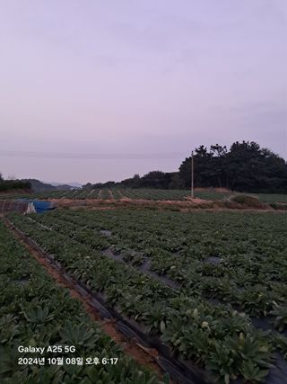 최평선님의 농업 경영체 등록 기준, 강화 vs 완화 · 참여글 작성글 사진