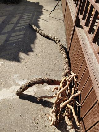 이현상님의 자유주제 · 자유게시판 작성글 사진