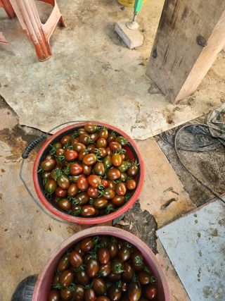 윤희철님의 작성글 사진