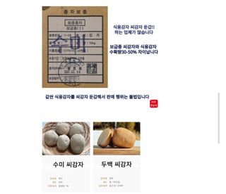 대산농사대장님의 감자 · 자유게시판 작성글 사진