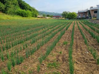 진여화 농원님의 2025년, 농사계획은 어떻게 되시나요? · 참여글 작성글 사진