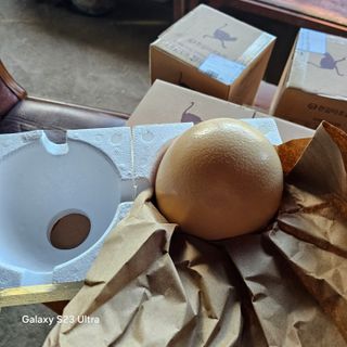 박용열조물주님 님의 자유주제 · 자유게시판 작성글 사진