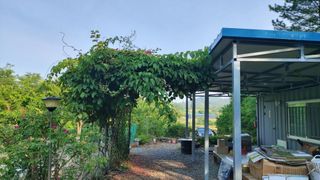 초보농부님의 농업 경영체 등록 기준, 강화 vs 완화 · 참여글 작성글 사진