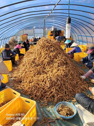 최평선님의 농업 경영체 등록 기준, 강화 vs 완화 · 참여글 작성글 사진