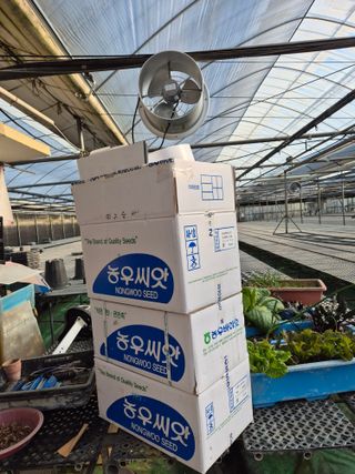 청운농원육묘장님의 자유주제 · 자유게시판 작성글 사진