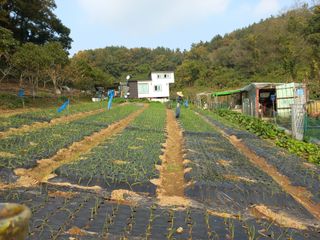 自淡茅亭님의 자유주제 · 자유게시판 작성글 사진