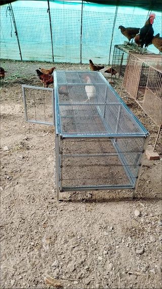 다이쏘(권자영)님의 작성글 사진