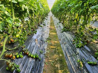 윤희철님의 작성글 사진