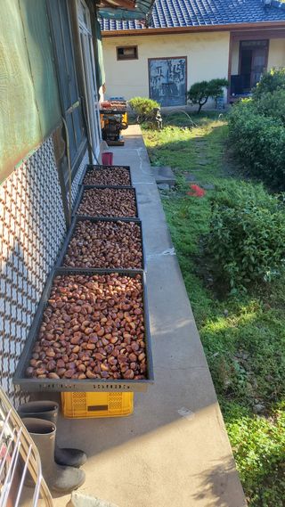 권혜전님의 작성글 사진