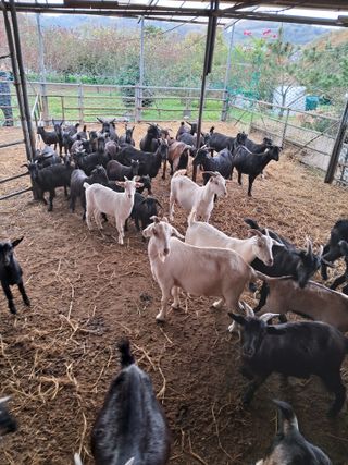 김석현님의 자유주제 · 자유게시판 작성글 사진