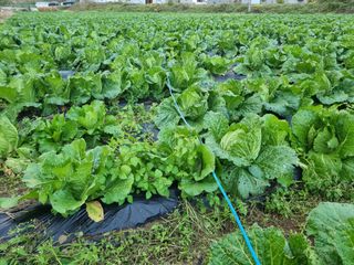 진여화 농원님의 2025년, 농사계획은 어떻게 되시나요? · 참여글 작성글 사진