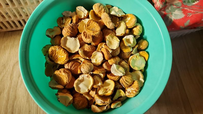 권혜전님의 장터 판매 상품 [말린밤 1ķg] 첨부 사진