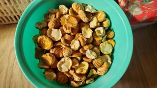 권혜전님의 작성글 사진