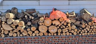 MSG0074님의 자유주제 · 자유게시판 작성글 사진