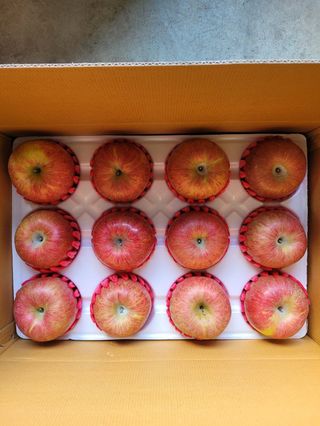 사과청일농원🍎님의 작성글 사진