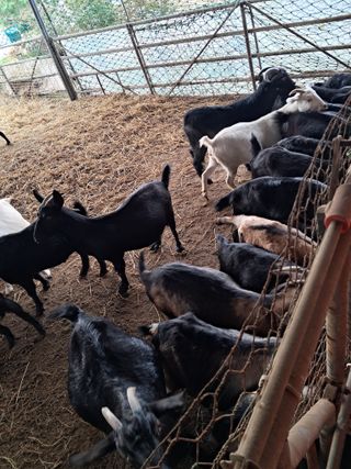 김석현님의 자유주제 · 자유게시판 작성글 사진