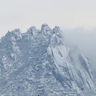 안길원님의 자유주제 · 자유게시판 작성글 사진