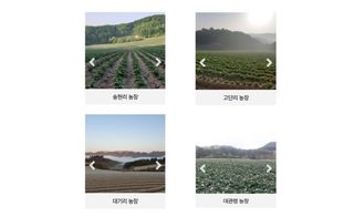 대산농사대장님의 감자 · 자유게시판 작성글 사진