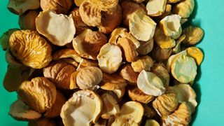 권혜전님의 작성글 사진