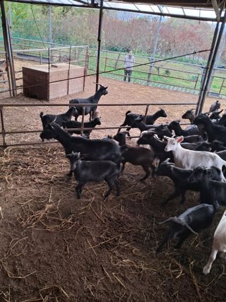 김석현님의 자유주제 · 자유게시판 작성글 사진