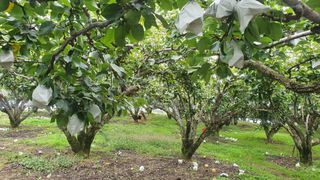 hs.jeong님의 자유주제 · 자유게시판 작성글 사진