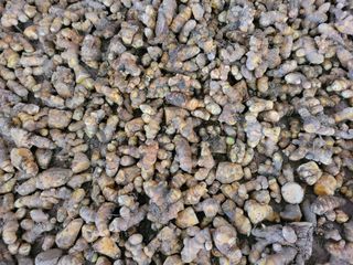 노경자님의 농업 경영체 등록 기준, 강화 vs 완화 · 참여글 작성글 사진