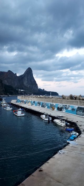 안재성님의 자유주제 · 사진전 작성글 사진