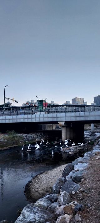 안재성님의 자유주제 · 사진전 작성글 사진