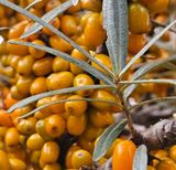 팜모닝 · 게시글 이미지