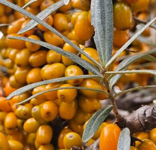 김시헌 님의 작성글 사진