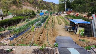 회야농원(정창규)님의 농업 경영체 등록 기준, 강화 vs 완화 · 참여글 작성글 사진