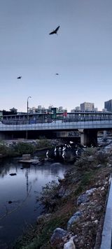 팜모닝 자유주제·사진전 게시글 이미지