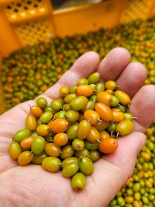 김시헌 님의 작성글 사진