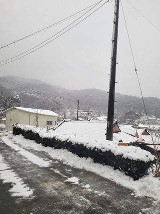 최유진님의 자유주제 · 자유게시판 작성글 사진