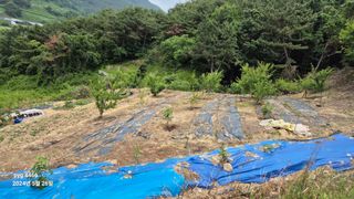 농꾼님의 농업 경영체 등록 기준, 강화 vs 완화 · 참여글 작성글 사진