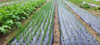 차동근님의 농업 경영체 등록 기준, 강화 vs 완화 · 참여글 작성글 사진