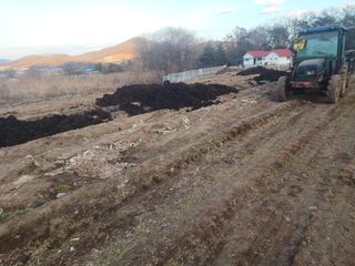 이정민님의 자유주제 · 자유게시판 작성글 사진