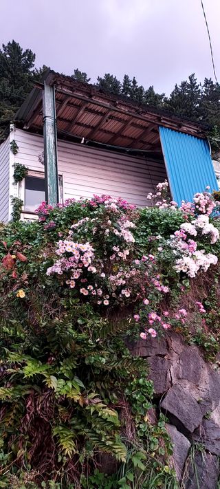 안재성님의 자유주제 · 사진전 작성글 사진